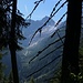 Vue vers le glacier du Trient dans la montée vers les Tseppes