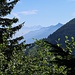 Vue vers la Pierre Avoi et la vallée du Rhône dans la montée vers les Tseppes