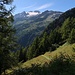 Vue vers le glacier des Grands, peu avant les Tseppes