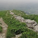 ganz oben