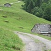 Wiesen