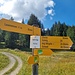 Spitzi Egg; aber hier ist's nicht mehr weit bis zum See.