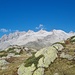 Drietschgletscher und Fusshörner