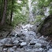 Durch das Bachbett geht es in die Kranebitter Klamm hinein.