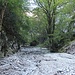 Nach der Engstelle weitet sich die Klamm.