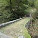 ponte sul Riale