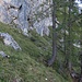 das Ende der Mauer