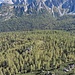 Blick über die Mauer