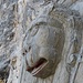 der Markuslöwe