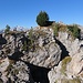 Torrione Marcella