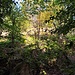 Felsen links des Wegs