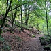Vom Gelände der Heilenbachgrillhütte aus geht es stracks auf dem Talweg, dem Hellenbachtalweg hinauf. 