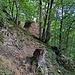 ...an einigen Felsen vorbei zurück zum Wanderparkplatz.