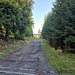 Dopo aver parcheggiato si prosegue per una decina di metri e sulla sinistra si trovano i bolli bianco-rossi