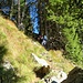 Ultimo tiro verso Pian Renten