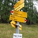 Dall'Alp de Fora discesa diretta verso Braggio fino a Mondent