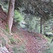 Sentiero verso Sant'Antoni de Bolada