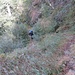 Sentiero verso Sant'Antoni de Bolada