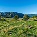 Wiesenlandschaft nahe des Rifugio Mongioie