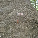 Startplatte vom orangen Parcour.