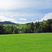 Rückblick auf den meistens "spurlosen" Wanderweg