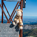 Punta Marguareis (2.652 m) - die Gipfelgiraffe ist schon da!