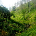 Im Tiefenbachtal