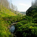 Tiefenbachtal.
