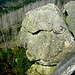 Das Felsgesicht "Der Alte vom Berge" (Kästeklippe)