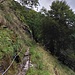 sentiero per la Capanna Cógnora