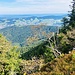 ... zur Leiterenflue mit Blick nach Unterägeri - mit knapp ersichtlichen Ägeri- und Zürichsee