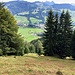 ... mal beinahe weglos und steil ...