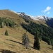 Oberhalb der Waldgrenze öffnet sich der Blick.