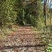 Herbstfreuden beim Rückmarsch im Tal.