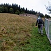 Sopra le baite di Laveggiolo c'è un grande prato, lo si segue fino al bordo superiore dove inizia il bosco