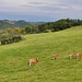 bei Chaliac