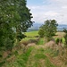 Weg von Lescure nach Massiac 