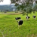 bei Ladignat