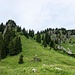 Fräuleins von Süden