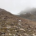 Eine Wegspur führt zur Scharte zwischen Großes Horn und Hochjoch.