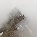 Blick von der Imstspitze zum Ebener First