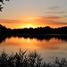 Sonnenaufgang am Holschaer Teich