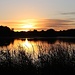 Sonnenaufgang am Holschaer Teich