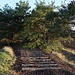 Abgebaute Bahnstrecke Bautzen - Knappenrode (- Hoyerswerda)