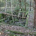 Alte Anlagen der Heeresmunitionsanstalt oder dem VEB MWK<br />Im Wald von hier an nordwärts befand sich ab Ende der 1930er-Jahre die Heeresmunitionsanstalt Königswartha. Die Bauwerke wurden 1947 liquidiert. Ab Ende der 1950er-Jahre richtete man unter dem Trivialnamen VEB Mechanische Werkstätten Königswartha eine neue Munitionsfabrik ein. Nach der Wende wurde der Geschäftsbetrieb eingestellt. Heute gibt es vor Ort wieder eine Nutzung in dieser Branche.