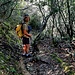 Un petit air de forêt tropicale