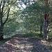 Neubautrasse der Bahnstecke Bautzen - Knappenrode (- Hoyerswerda)<br />Die Strecke zwischen Königswartha und Knappenrode wurde Anfang der 1960er-Jahre in Betrieb genommen und war für 100 km/h Höchstgeschwindigkeit ausgelegt. Alle Bahnübergänge hatten daher eine technische Sicherung.