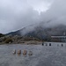 .. die Cima della Trosa ..