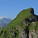 Zoom zum Gipfel des Hochfinslers mit der Kuhherde, die an diesem Tag auf die Gipfelweide getrieben wurde.