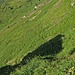 ...sieht eigentlich einfach aus, aber gerade im hinteren Bildbereich im bei den Felsen und dem abgerutschten Boden ist die Spur kaum sichtbar ausgeprägt.